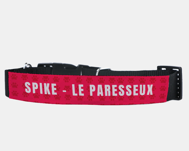 Collier pour chien Personnalisable - Papattes