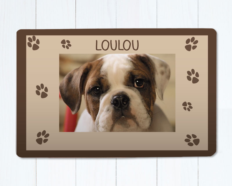 Tapis pour chien - Photo