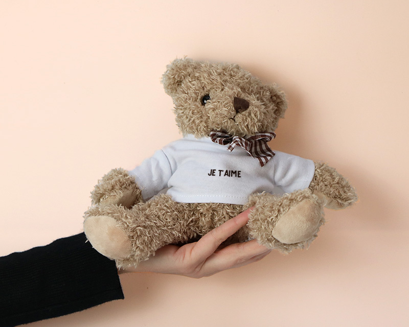 Ourson en peluche personnalisable - Message