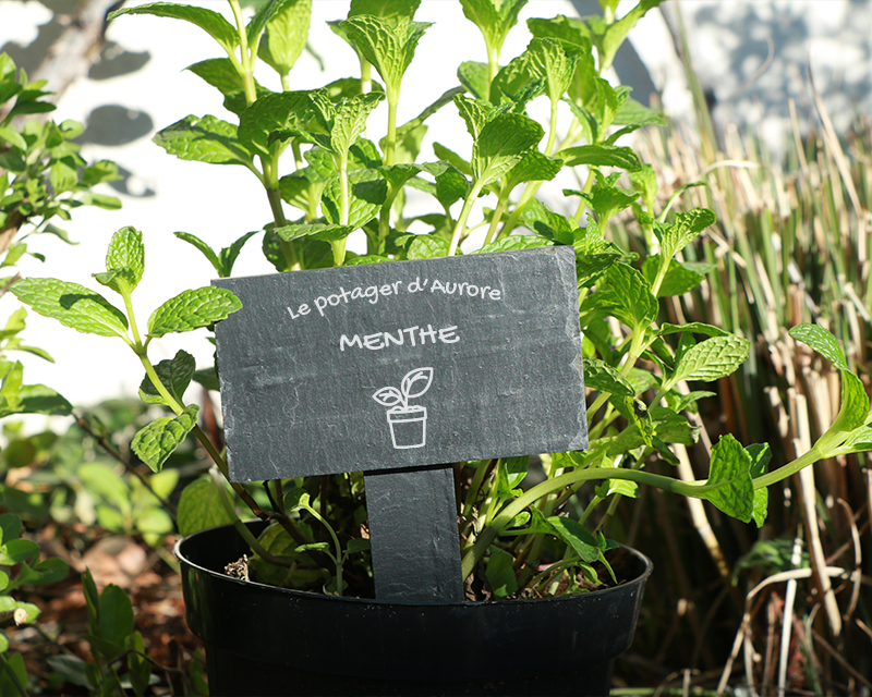 Mini-ardoise pour plante personnalisable - Potager