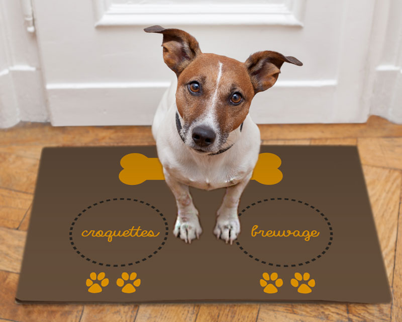 Tapis de gamelle pour chien