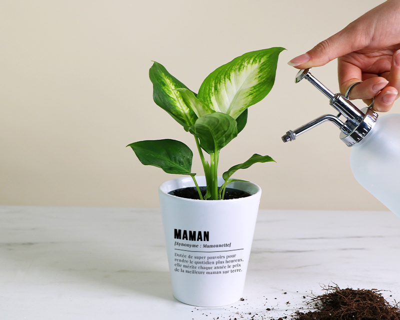 Pot de fleurs personnalisé - Définition Maman