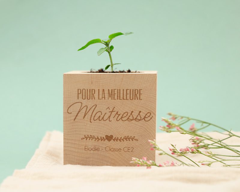 Ecocube personnalisé - Maîtresse, Maître, ATSEM, Nounou