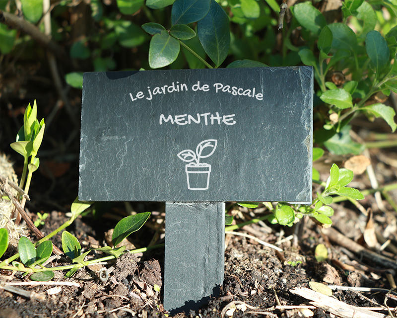 Mini-ardoise pour plante personnalisable - Potager