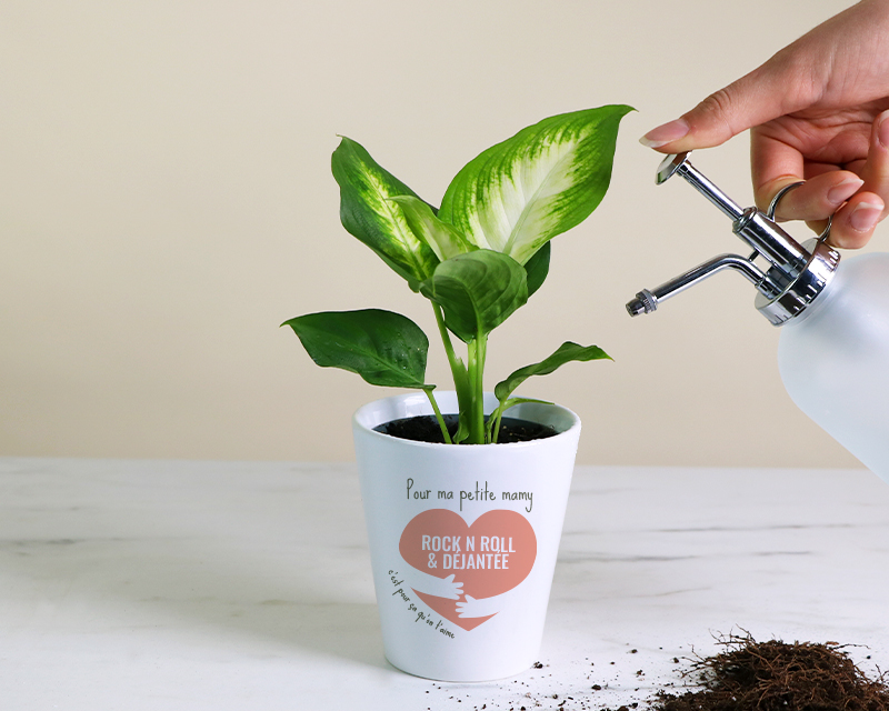 Pot de fleurs personnalisable - C'est pour ça qu'on t'aime