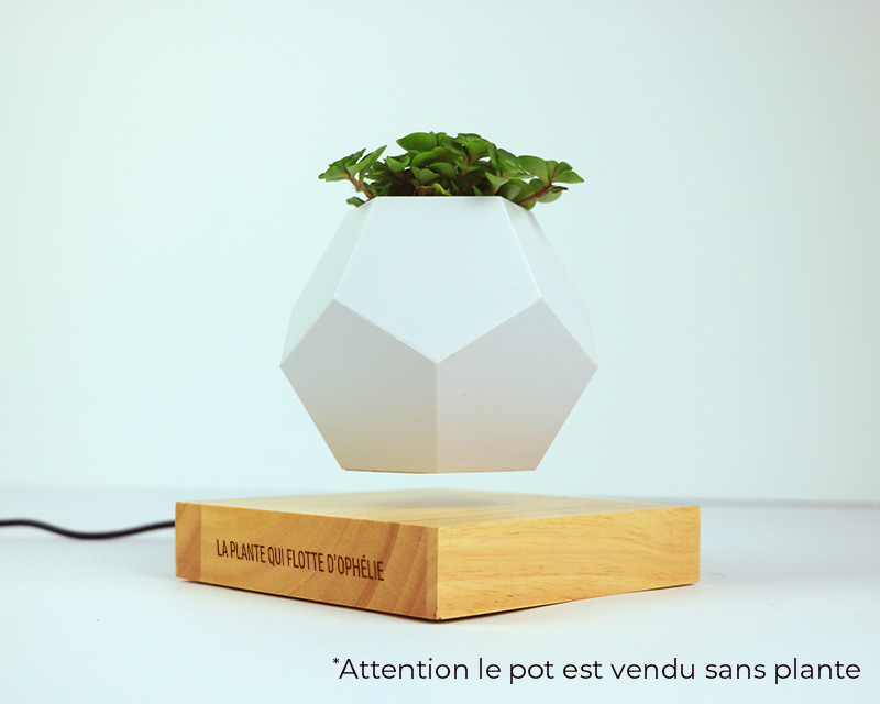 Pot de fleur en lévitation personnalisable