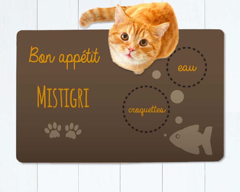 Tapis de gamelle pour chat