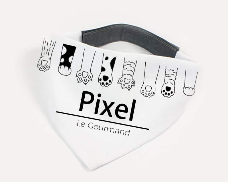 Bandana pour chat Personnalisable - Pattes de chat