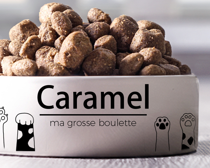 Gamelle pour chat Personnalisable - Pattes de chat